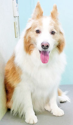 森本アンズちゃん