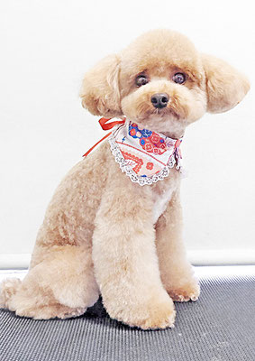 田淵マロンちゃん