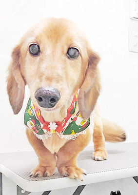 山室ファイズちゃん