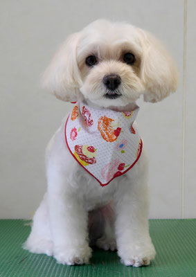 濱島クレアちゃん