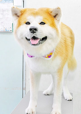 池川空ちゃん