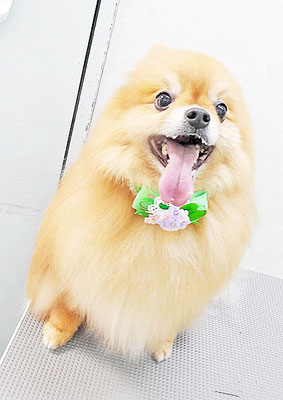 大井ポンタちゃん