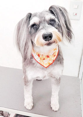 迫田プーちゃん