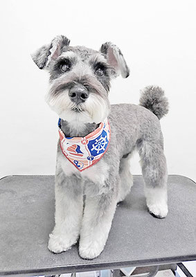 糸山そらちゃん