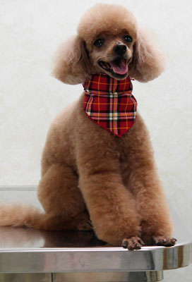 平松クーちゃん