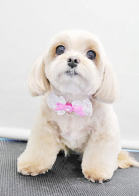 永濱サラちゃん