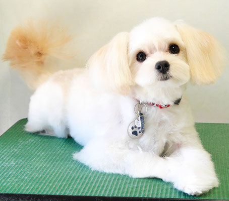 大脇ココアちゃん