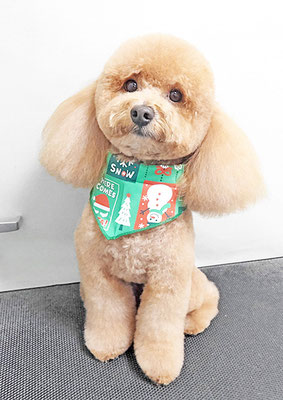 佐多ぶいちゃん