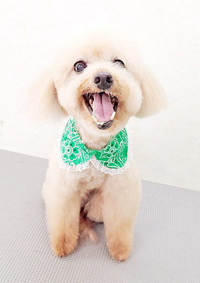 金谷ムサシちゃん