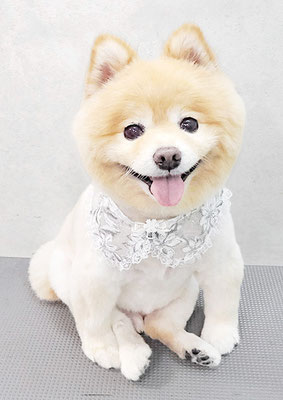 中間小次郎ちゃん