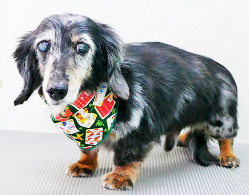 西山ユウちゃん