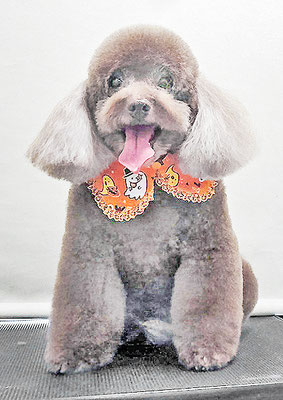 山口クレアちゃん