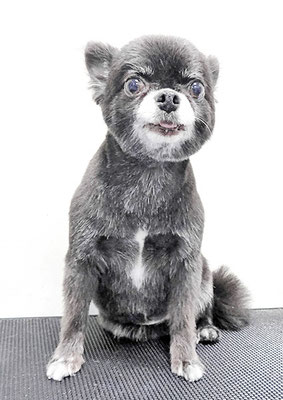 森崎シロちゃん