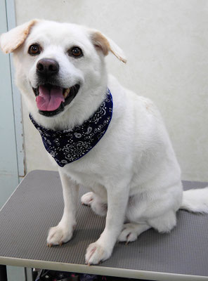 宮屋敷ボンタちゃん