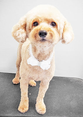 玉利ココちゃん