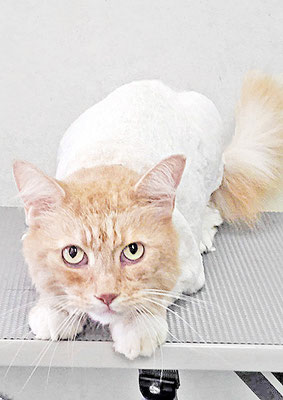 松元メイちゃん