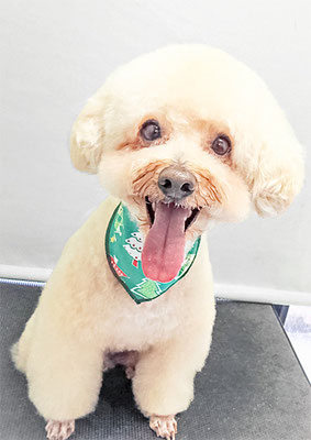 松田めろんちゃん