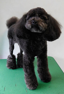 森崎ラブちゃん