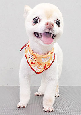 作島うみちゃん