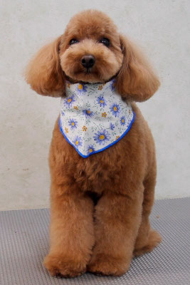 森田諭吉ちゃん