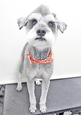 宮下りんくちゃん