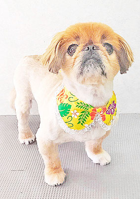 宮下カルアちゃん