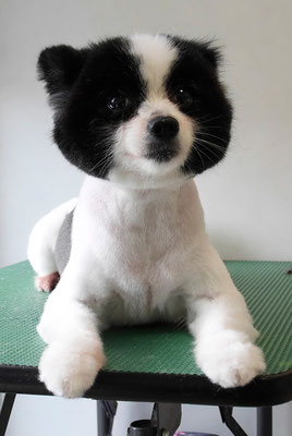 森崎マリアンちゃん