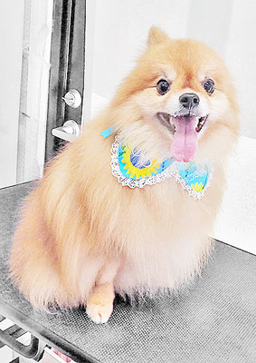 大井ポンタちゃん