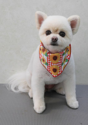 千葉チビちゃん