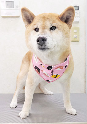瀧川カルちゃん