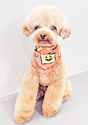 二見りくちゃん