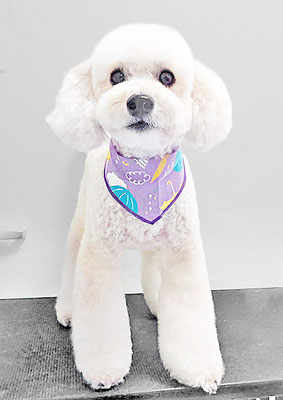 長谷ラナちゃん