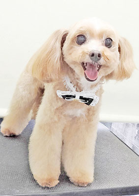 清正メイちゃん