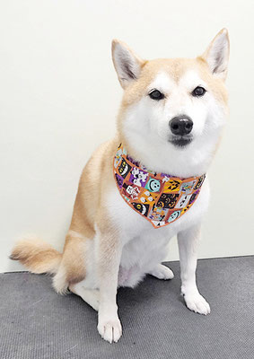 小村ゆずちゃん