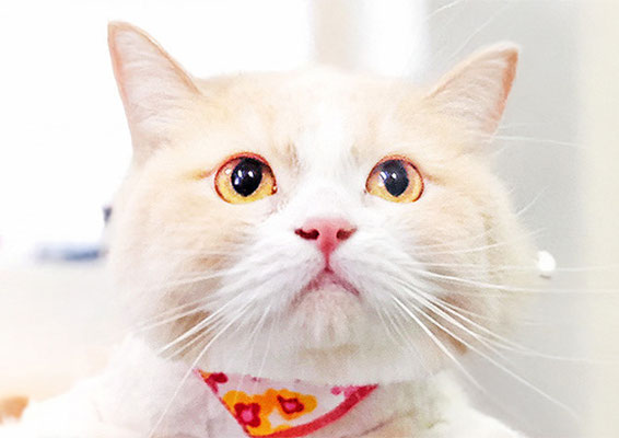 松川ななちゃん