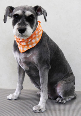 上野ココリちゃん