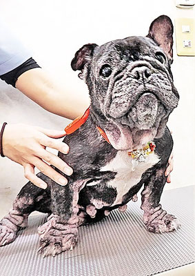 岸下すももちゃん