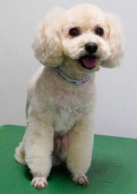 吉永ココちゃん