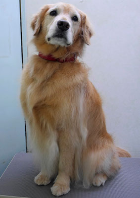 菊川チェリーちゃん