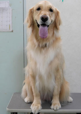 美代ジューンちゃん