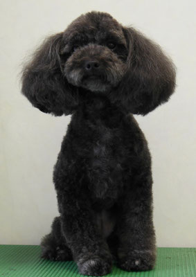 森崎ラブちゃん