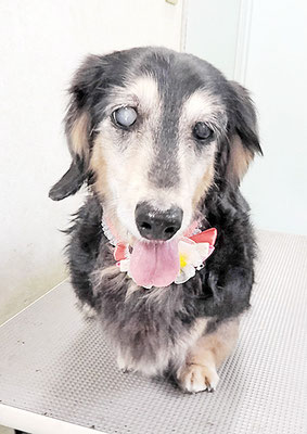 湯田モモちゃん