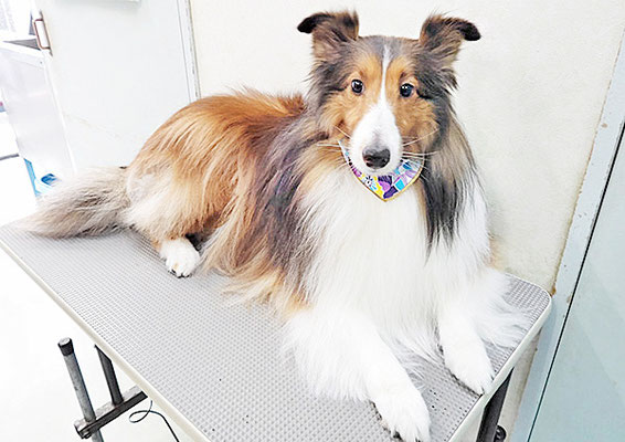 國生レイラちゃん