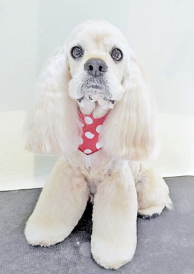 福富ベリーちゃん