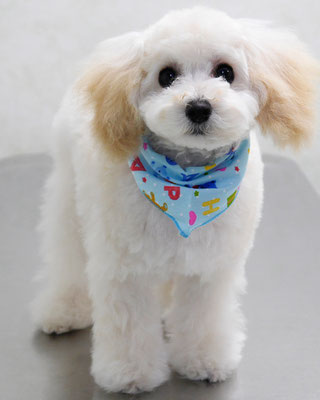 山下ティナちゃん