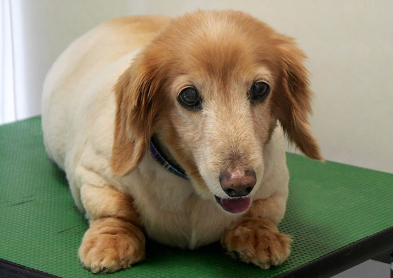 別府リンちゃん