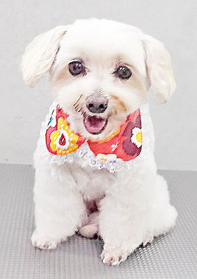 濱島クレアちゃん