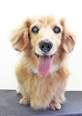 湯田ハヤテちゃん