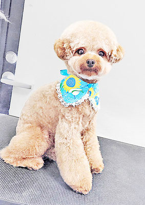 二見りくちゃん