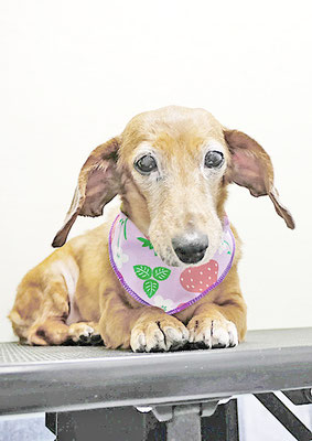 別府モモちゃん